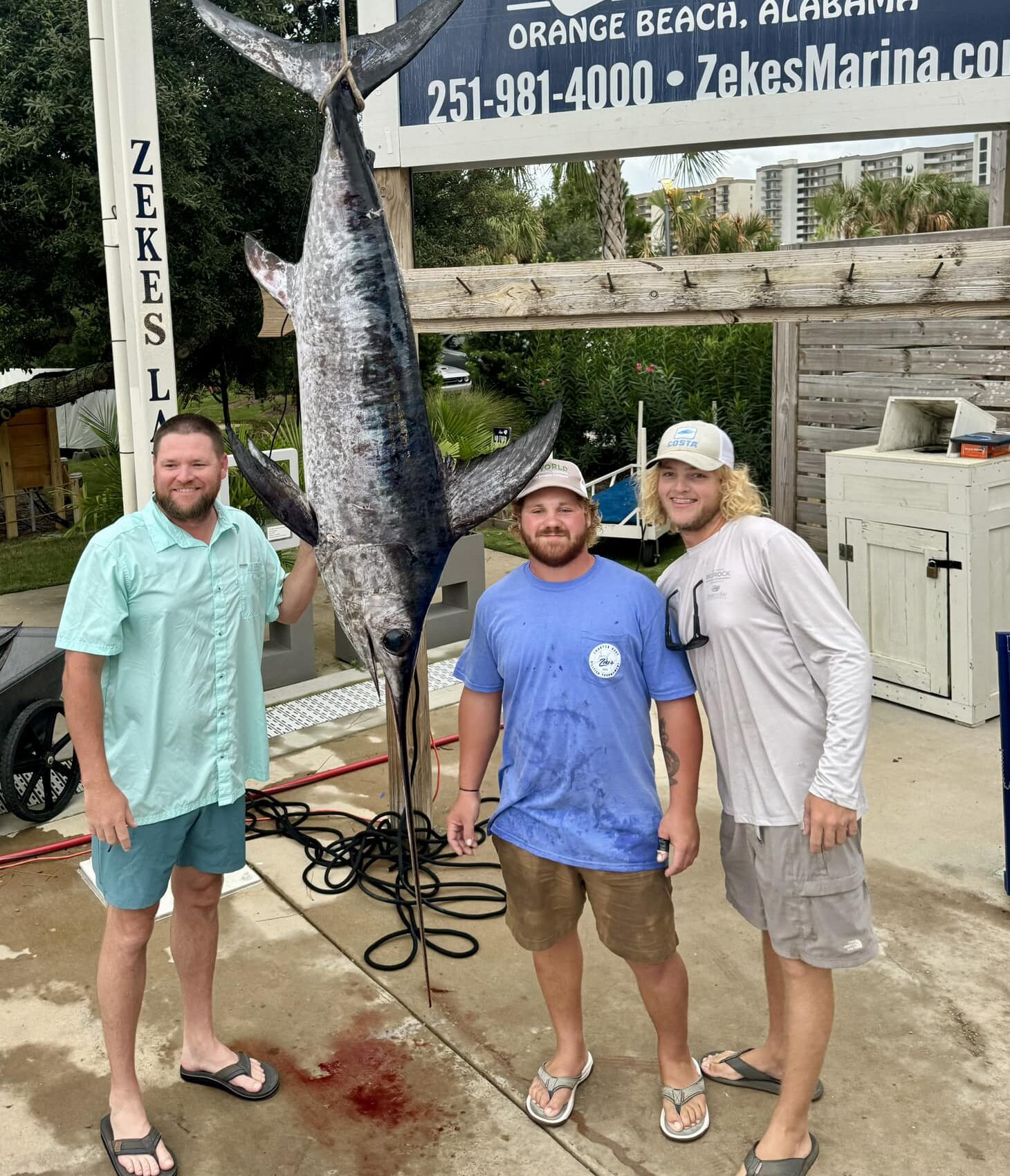 Trophy Marlin hanging up at dock with fisherman posing for photo